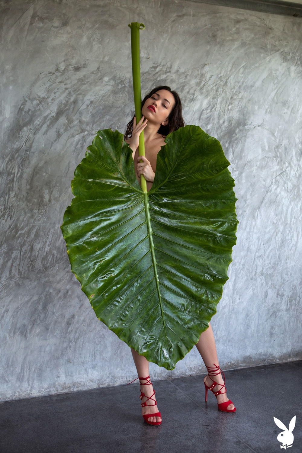 Exotic Beauty Strips From Behind A Giant Tropical Leaf